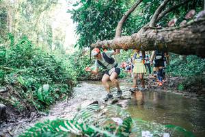 BIB: 
                            <button type="button" onclick="openModal(25475117)" class="btn btn-primary btn-sm float-right btn-popup" data-toggle="modal" data-target=".modal-high-quality">
                        <i class="fas fa-shopping-cart"></i> Add to Cart
                    </button>
                                            <button type="button" onclick="isThisMe(25475117, true)" class="btn btn-success btn-sm float-right btn-popup btn-isme hidden" data-toggle="tooltip" data-placement="bottom" title="นี่คือรูปของคุณใช่ไหม คลิกที่นี่เพื่อเอาเข้าอัลบั้ม">
                        <i class="fas fa-plus"></i> Add to album
                    </button>
                    <button type="button" onclick="isThisMe(25475117, false)" class="btn btn-warning btn-sm float-right btn-popup btn-isnotme hidden">
                        <i class="fas fa-ban"></i> Remove from album
                    </button>